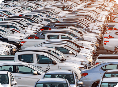 Wide Selection of Cars